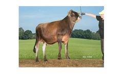 VJ Hitman - Model 304254 - Genetics DNA