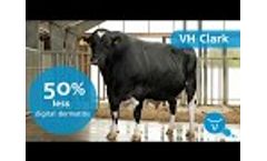 Interview with Chresten Petersen on Hoof Health Video