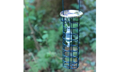 Witasek - Model ThanasiWit - Attract Ant Beetle