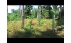 Tree Protection Large Meshed - Witasek Pflanzenschutz Video