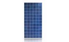 Starworld - Model SWP-72 - 72-Cell Poly Solar Panels