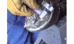 University of Florida Resident Farrier Trims Cadaver Hoof with the Hoof Boss Video