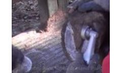 Hoof Boss Chainsaw Disc Trimming Draft Hoof Video