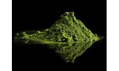 Green Chlorella