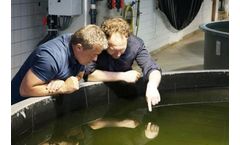 Aquapaste - Microalgae-Paste Products