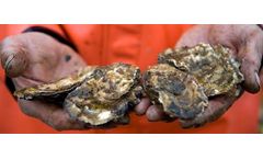 Aquapaste - Bivalves