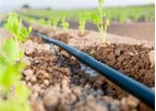 Captain - Drip Irrigation System