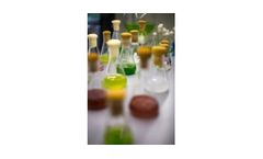 Microalgae - Ancestral Microscopic Organisms