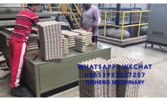 4 X 8 5000 Pcs Egg Tray Per Hour Production Line - Video