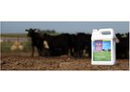 Bio SI Jackpot - Livestock Probiotics
