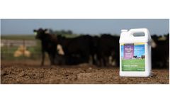 Bio SI Jackpot - Livestock Probiotics