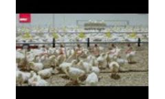 I-Flush - The total hygiene solution by Impex Video