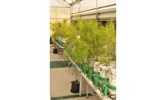 Intelligent Screening System for Abiotic Stress Response