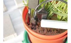 Intelligent Screening System for Roots Performance