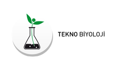 Chemical Organic Matter Fertilizer