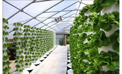 Nexus - Micro-Surface Texture and Interior Porous Structure