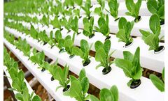 Nexus - Hyroculture and Hydroponic Block