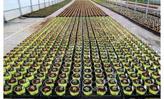 Nexus - Greenhouse Containers