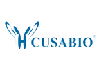 Model CSB-NP009501B - Bovine Serum Albumin