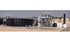 SEE - Consulting Services