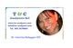 Trading & Consulting Analyzers Srl Unipersonale
