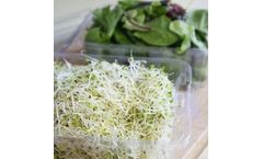 Good-Natured - Model 1389 - Simply Secure Square 48 oz. Top Seal Multi-purpose Package