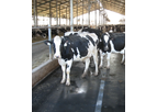 Fapre - High-Performance Cattle and Sheep Mat
