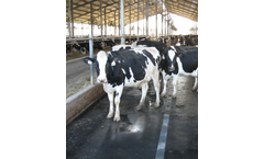 Fapre - High-Performance Cattle and Sheep Mat