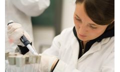 QuoData - Background Information Services