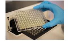 BioVAL - Online Analysis Software