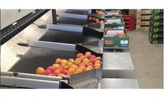 Aweta Midstar - Apricots Sizer Sorting System