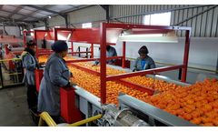Aweta - Citrus Sorting Machine