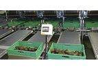Aweta - Avocado Sorting System