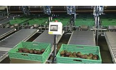 Aweta - Avocado Sorting System