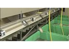 Aweta - Flat Fish Cup Sorter