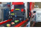 Aweta - Mango Sorting System