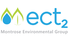 Process vent treatment at major Gulf coast chemical plant - Case Study