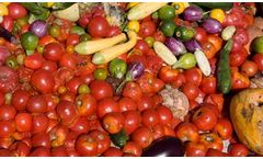 Portable and fixed gas analysers for mixed food waste AD