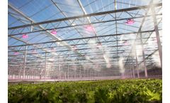 The future of lighting by focusing on DLI and PSS value