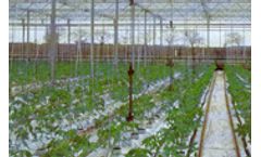 RKW Hyplast - Energy Screen Films