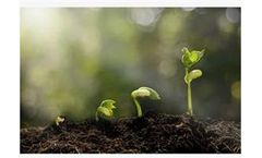 Endophytes Innova - Microorganisms Bacteria