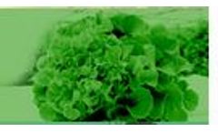 Greenhouses & Innovative Solutions for Agriculture and Horticulture