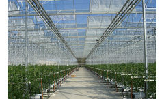 Artigianfer - Model Venlo - Turnkey Glass Greenhouses