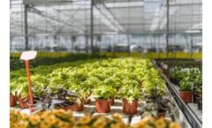 Nord Agri - NA Pot Medium-Coarse