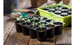 Nord Agri - NA Hobby Seedling