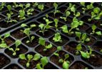 Nord Agri - NA Seeding TS