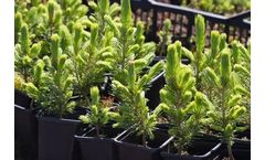 Nord Agri - NA Forestry Seeding