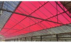 Soliculture - Luminescent Solar Collectors