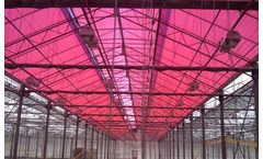 Soliculture - Solar Panels Use Quantum Light