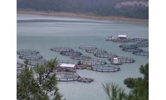 Mariculture System